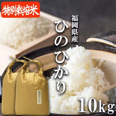 ふるさと納税 小郡市 米 10kg 配送当日に精米します 小郡産 特A 特別栽培米 ひのひかり[No5354-0265]