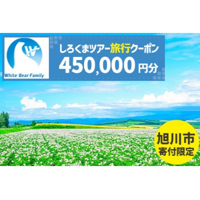 【旭川市】しろくまツアーで利用可能なWEB旅行クーポン (450,000円分)_05223【1660763】