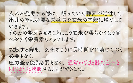 【令和7年産】発芽玄米 コシヒカリ「特選」特別栽培米使用 2kg×3袋（計6kg）【米 こしひかり 玄米 ギャバ GABA 特別栽培 食物繊維 栄養 真空パック ごはん ご飯 おいしい ふるさと納税米