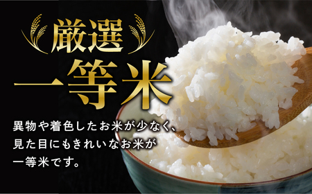 【 令和7年産 】ひとめぼれ 5kg 米 精米 福島県 田村市