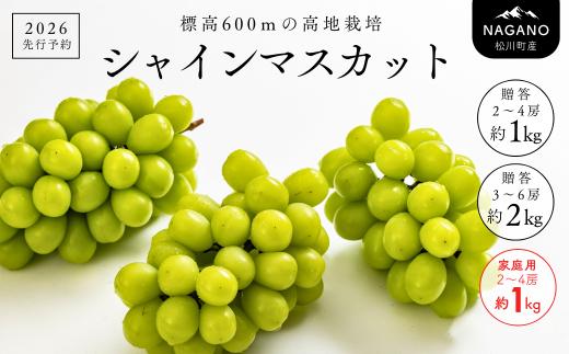 
            【先行予約】 ぶどう シャインマスカット 贈答用 or 家庭用 ／ 2026年9月中旬～10月初旬頃 配送予定 // 贈答 長野県 南信州 シャインマスカット マスカット 種なし 皮ごと ぶどう 葡萄 果物 フルーツ TK09 TK06 TK19
          