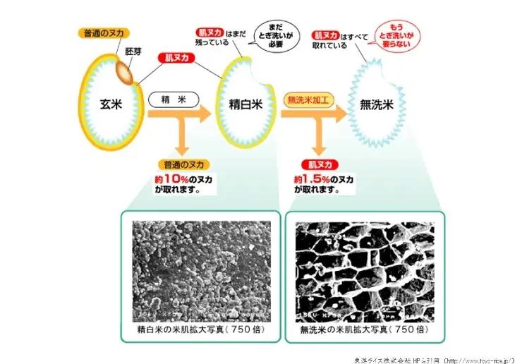 BG無洗米コシヒカリ 5kg×3ヵ月 定期便 [毎月] 令和7年産 愛を米 時短 BG 無洗米 こしひかり 島根県産 新生活応援 お試し 節水 アウトドア キャンプ 東洋ライス  【価格改定X】【45