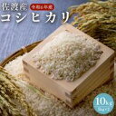 【ふるさと納税】佐渡島産　コシヒカリ　10kg（5kg×2）　令和6年産 | お米 こめ 白米 食品 人気 おすすめ 送料無料