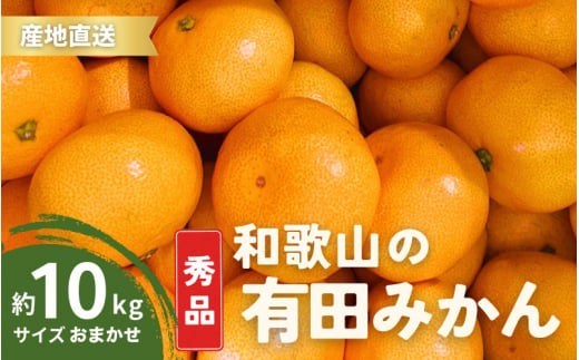 
                  ＼配送月が選べる！／ 秀品 有田みかん 和歌山県産 S～Lサイズ 大きさお任せ 10kg / みかん フルーツ 果物 くだもの 有田みかん 蜜柑 柑橘【ktn003A-cho】
                