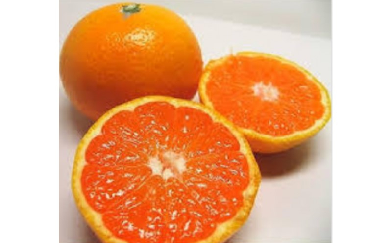 
                  [№5353-0585]みかん ゆら早生みかん5kg 柑橘 果物 フルーツ デザート ※配送不可:離島
                