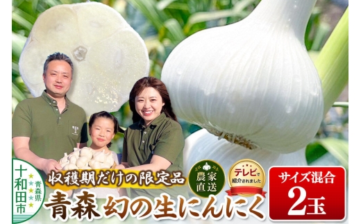 【2027年収穫分】先行受付【テレビ紹介】青森 幻の生にんにく2玉（農家直送・収穫期だけの限定品） 青森にんにくファーム [稀少 ニンニク 今が旬 直送]