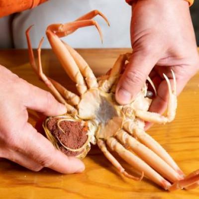 ふるさと納税 越前町 浜茹で越前せいこがに約220〜250g3杯　かに酢&かにスプーン付き |  | 02
