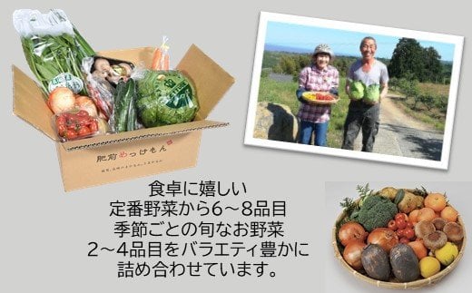 J-14  【１２ヶ月お届け】【野菜ソムリエ選定】肥前の国のお野菜定期便