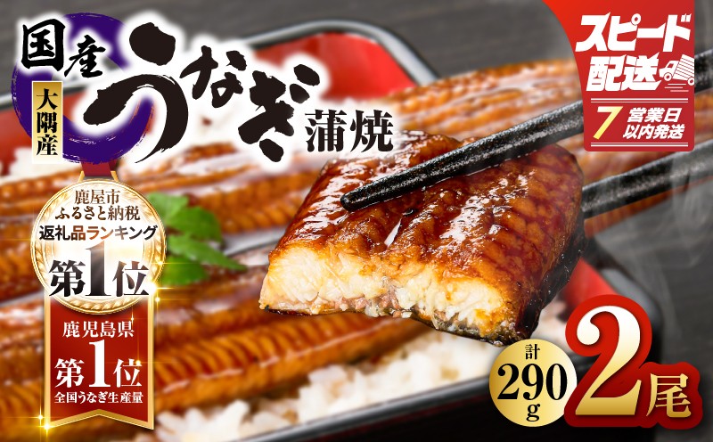 
                  【7営業日以内に発送】鹿児島県大隅産うなぎ蒲焼2尾（290g）　KN110-001-YM
                