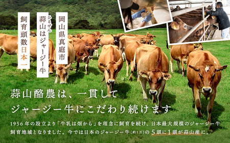（定期便）6ヶ月 全6回  蒜山ジャージーヨーグルトセット 定番人気NO.1 冷蔵 「ご当地ヨーグルトグランプリ」金賞 デザート プレゼント 蒜山酪農 真庭 岡山 ジャージー 牛 牛乳 ミルク 濃厚 