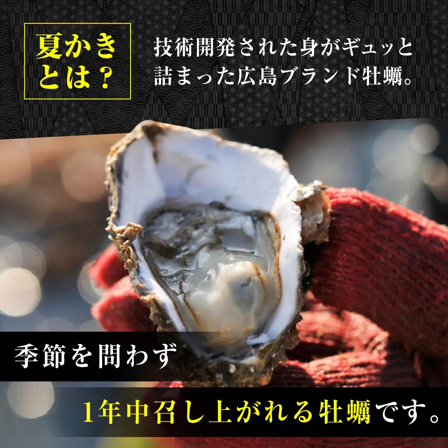 生牡蠣夏かき12個 牡蠣[XBP013]