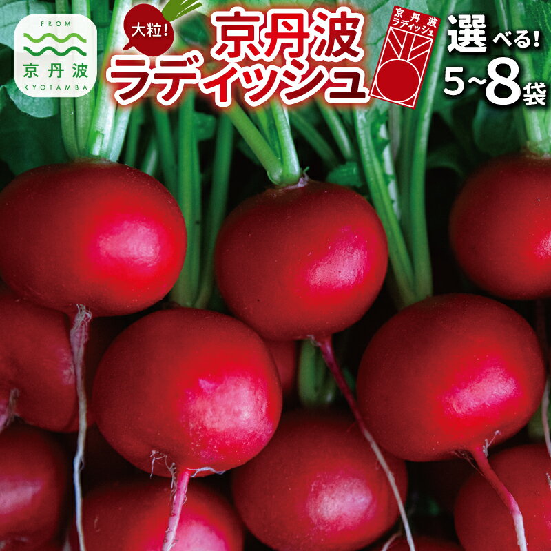 【ふるさと納税】 京丹波ラディッシュ 選べる 数量 5～8袋 セット 京都 丹波 大粒 ジューシー フルーティー ソテー グリル料理 バーベキュー アヒージョ かき揚げ サラダ スープ アウトドア ※北海道・沖縄・その他離島は配送不可