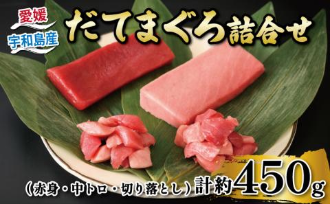 【愛媛県宇和島産ブランド】＼10営業日以内発送／ マグロ 計約450g 赤身 中トロ 切り落とし だてまぐろ 詰合せ 辻水産 鮪 maguro 魚 さかな とろ D024-062005