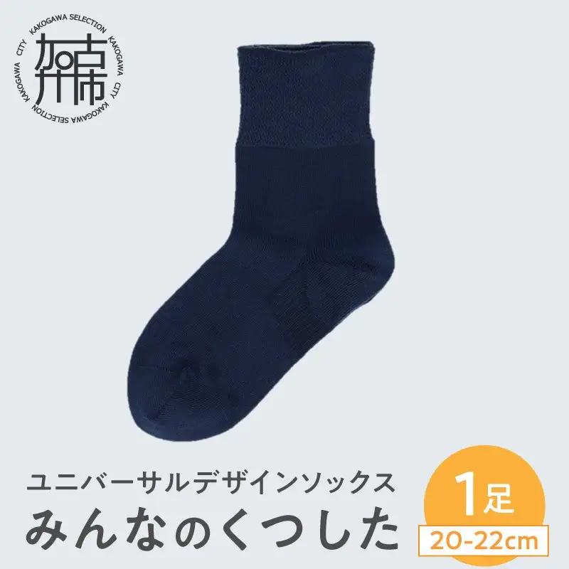 みんなのくつした 1足(20-22cm)【コン】【2500T16801_02】