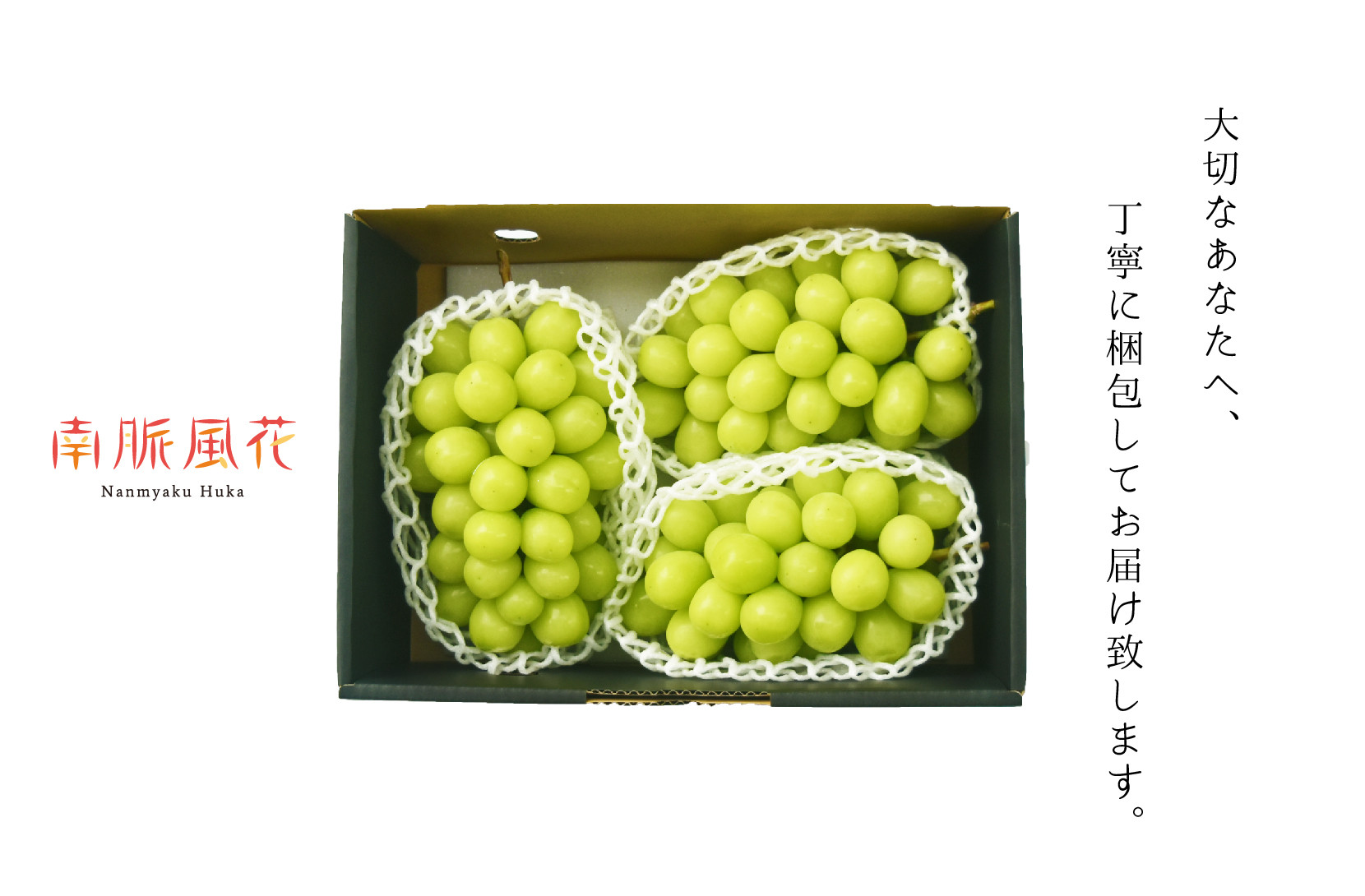 【先行予約】朝採れ！シャインマスカット2kg　 ALPAJ023