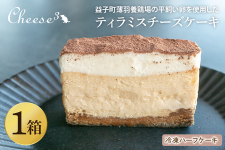 ティラミスチーズケーキ 冷凍 ハーフ CP006