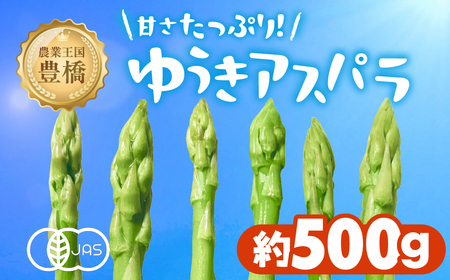 ≪先行予約≫有機栽培アスパラガス 約 500g