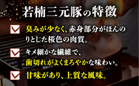 【3回定期便】肉汁たっぷり 若楠三元豚ハンバーグ 150g×8個 /ナチュラルフーズ[UBH056]