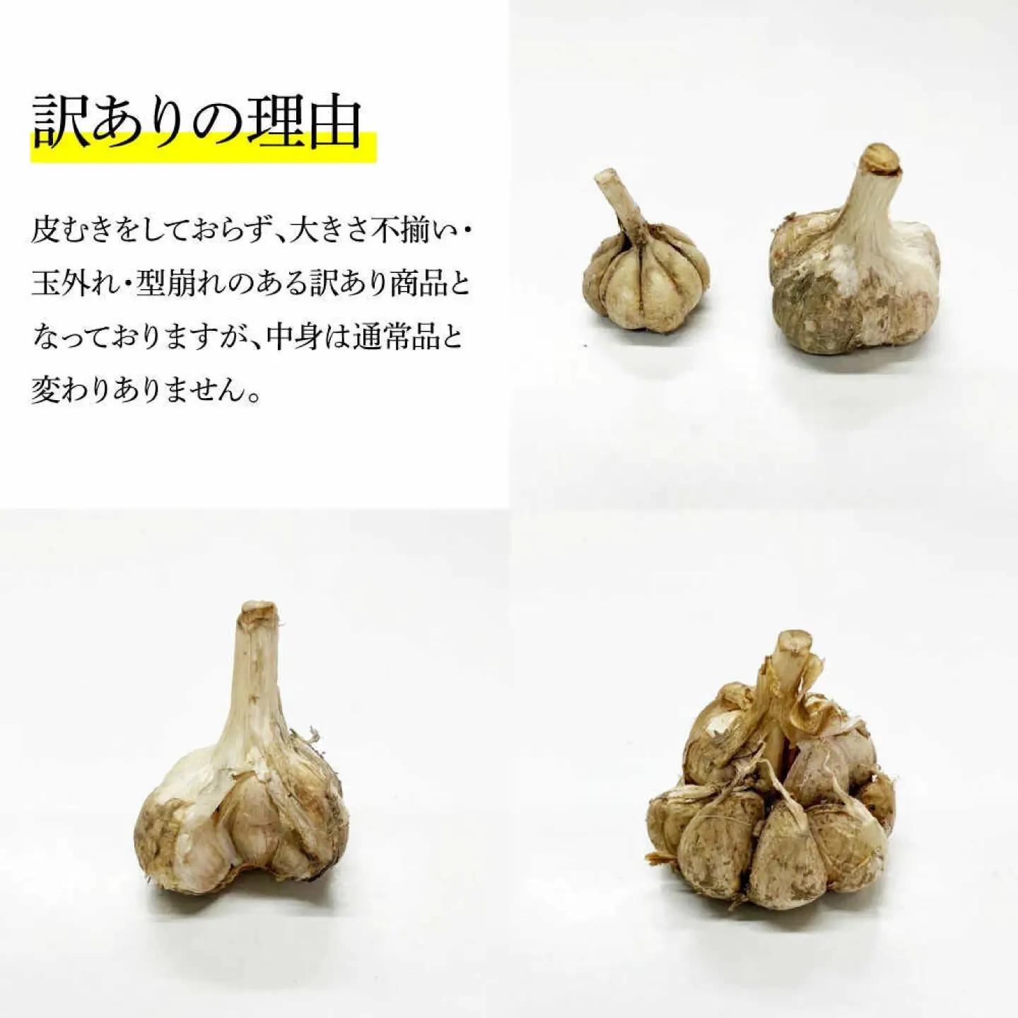 訳あり 平戸にんにく 約1kg 〈2026年6月10日〜2026年10月31日〉高知県 土佐市【株式会社 植田ファーム】[BQAT006]