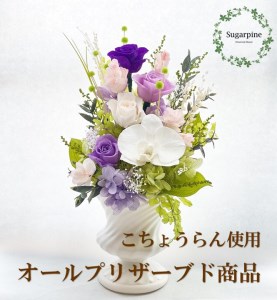 プリザーブドフラワーアレンジ【想～SOU～】春日部市 シュガーパイン【インテリア雑貨 贈答用 仏壇供養 母の日 記念品 高級感 長持ち 彩り 手作業】 [AJ083-2]