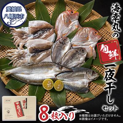 ふるさと納税 八幡浜市 海幸丸の旬鮮一夜干しセット(8枚入)【E15-7】