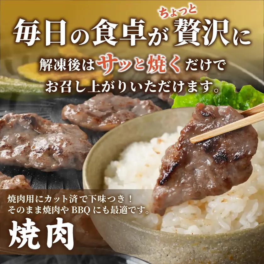 牛ヒレ塩麹タレ漬け900g(焼肉用カット)〔LG-3330〕_(都城市) 