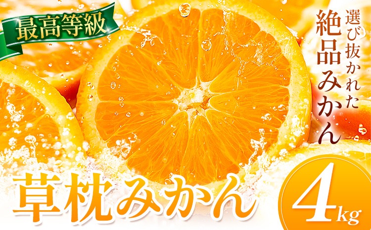 ＜先行予約＞草枕みかん 約4kg 《11月上旬-12月上旬頃出荷》熊本県 長洲町 フルーツ 柑橘 みかん ミカン 草枕 デザート 送料無料---ng_ksm_ad11_r8_11000_4kg---