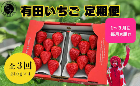＜予約受付＞【3回定期便】有田いちご 朝摘み完熟いちご4パックを毎月お届け！ (1月～3月の全3回) 240g×4パック【みゆきファーム】有機肥料にこだわった美味しいいちごです いちごさん F35-15

