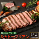 【ふるさと納税】あか牛 ヒレ肉 希少部位 シャトーブリアン 約3kg 約150g×20枚 ステーキ あかうし 赤牛 牛肉 牛 ビーフ ヒレ 食品 国産 九州産 熊本県産 冷凍 送料無料