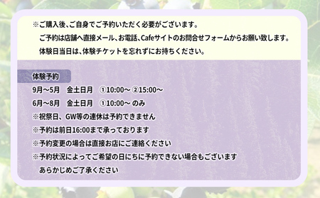 氷見市ブルーベリーのジャム作り体験４名様●ケーキとコーヒー付き