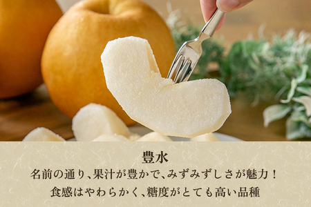 【2026年先行予約】新潟県加茂市産 和梨 豊水5kg（8～16玉）〈9月上旬～順次出荷〉ほうすい