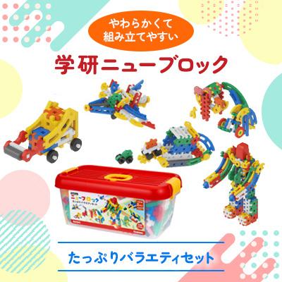 ふるさと納税 足利市 学研 ニューブロック　たっぷりバラエティセット