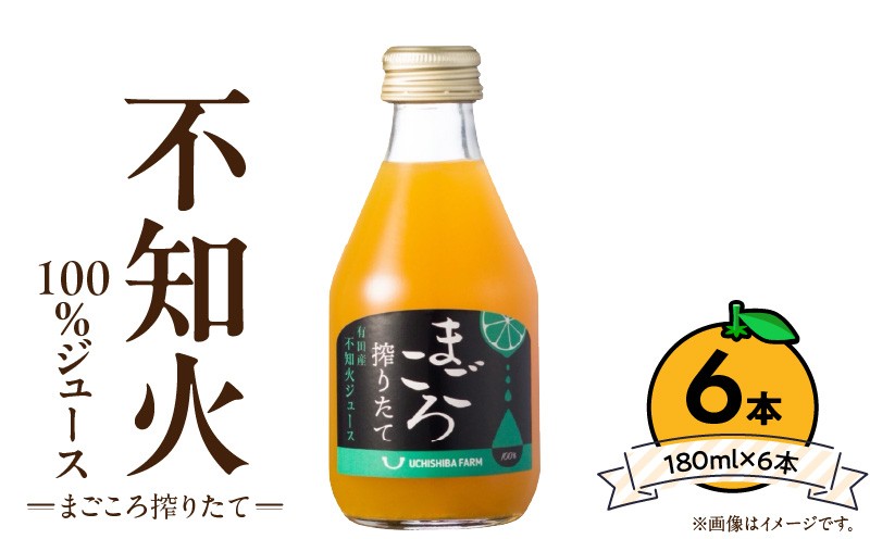 
            ZE6434_【まごころ搾りたて】不知火 100%ジュース 180ml × 6本
          