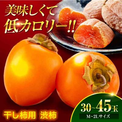ふるさと納税 大洲市 【先行受付】【11月上旬より順次発送】手作干し柿に!あたご柿 M~2L 10kg[AGBN022]
