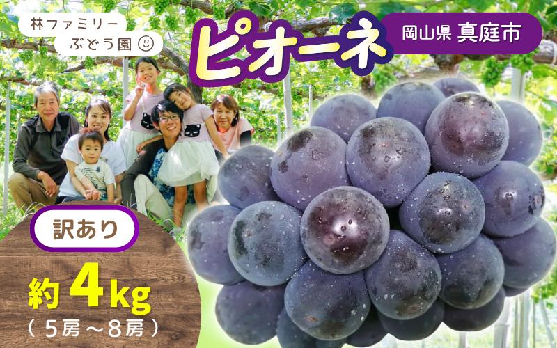 
            【訳あり】岡山県産 林ファミリーのピオーネ 約4kg（約5～8房） 【2025年先行予約】 / ご家庭用 岡山 真庭市 ぶどう 果物 フルーツ
          
