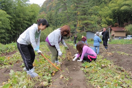 芋焼酎　大野瀬　温