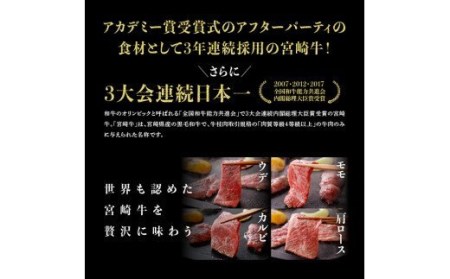 宮崎牛 焼肉セット 400g - 肉 牛肉 宮崎 牛牛 黒毛和牛 牛 国産牛肉 牛 肉質等級4等級以上の牛肉 牛 セット カルビ ウデ モモ カタロース 牛肉