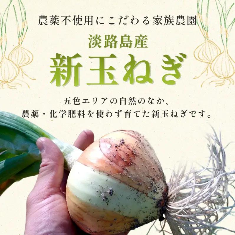 新玉ねぎ 淡路島産 3kg もぐもぐファーム 甘い 新玉ねぎ
