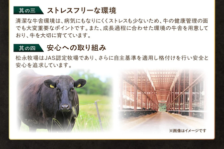 《松永牧場 浜田市進出記念》松永牧場和牛サーロインステーキ（和牛） 国産 ステーキ 和牛 高級 お取り寄せ サーロイン 牛肉 松永牧場 浜田市 1000グラム おすすめ 返礼品 【120_1916】