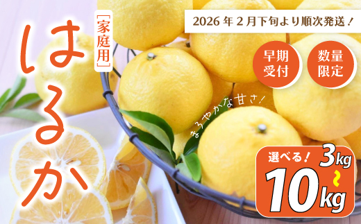 【 早期受付 期間限定 数量限定 】 はるか 3kg 家庭用 甘い 甘酸っぱい 人気 フルーツ 果物 くだもの 柑橘 みかん ミカン 高知県 高知 四万十市 四万十 しまんと 高知県産 お取り寄せ 【配送時期：2026年2月下旬～3月下旬】