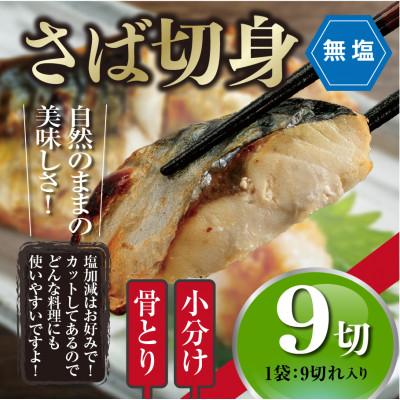 ふるさと納税 門川町 【訳あり】骨取り無塩さば切身(9切×1袋)