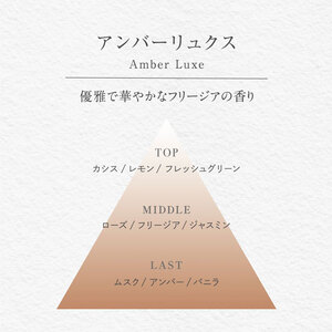 バーグ リードディフューザー &カークリップセット (アンバーリュクス) 晴香堂 ルームフレグランス