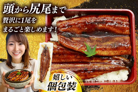 【定期便12回】 うなぎ 蒲焼 国産 特大 2尾 うなぎ