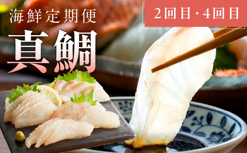 人気海鮮定期便 サーモン／真鯛 食べ比べ 全4回【毎月配送コース 小分け 訳あり サイズ不揃い 刺身 海鮮丼 人気 オススメ 冷凍】】 G1719