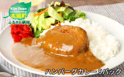 
										
										ハンバーグカレー 9パック K16_0042_1
									