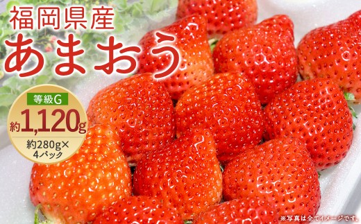 【先行予約】あまおう 等級G 約280g×4 計約1,120g いちご 苺 果物 フルーツ 【2026年2月上旬～2026年3月下旬発送予定】