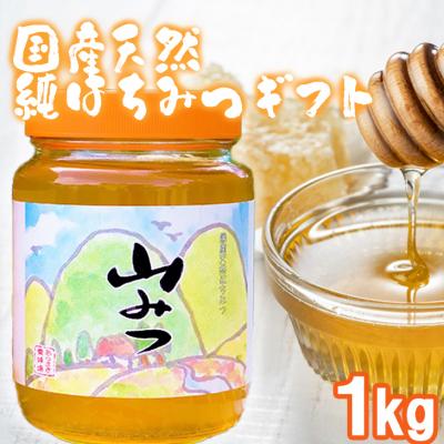 ふるさと納税 小郡市 はちみつ 化粧箱入り やまみつ 1kg ギフト[No5354-0329]
