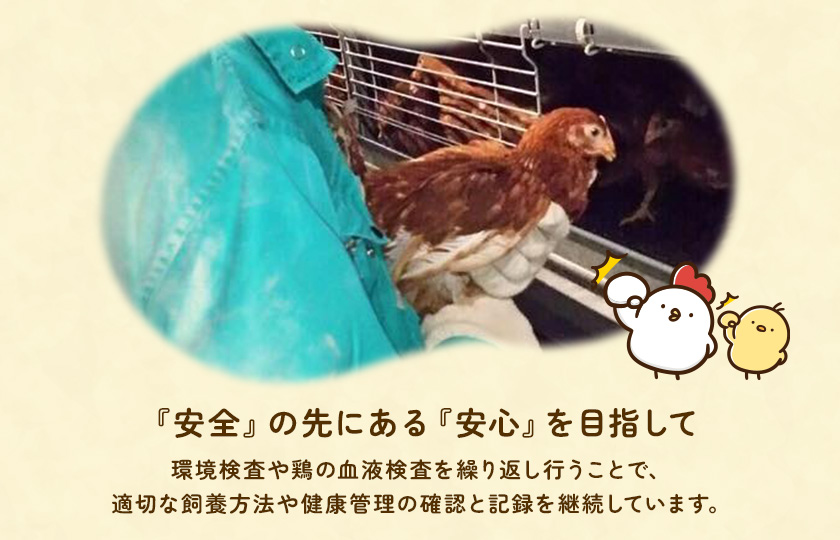 【定期便6回】九十九里ファームこだわりたまご贈答用30個～あおい海・みどりの里～《赤玉》 ／ たまご 卵 玉子 タマゴ 生卵 卵かけご飯 鶏卵 30個 定期便 6回