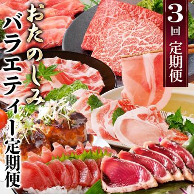 ふるさと納税 枕崎市 定期便(3回配送)　お楽しみバラエティー定期便 LL-6017