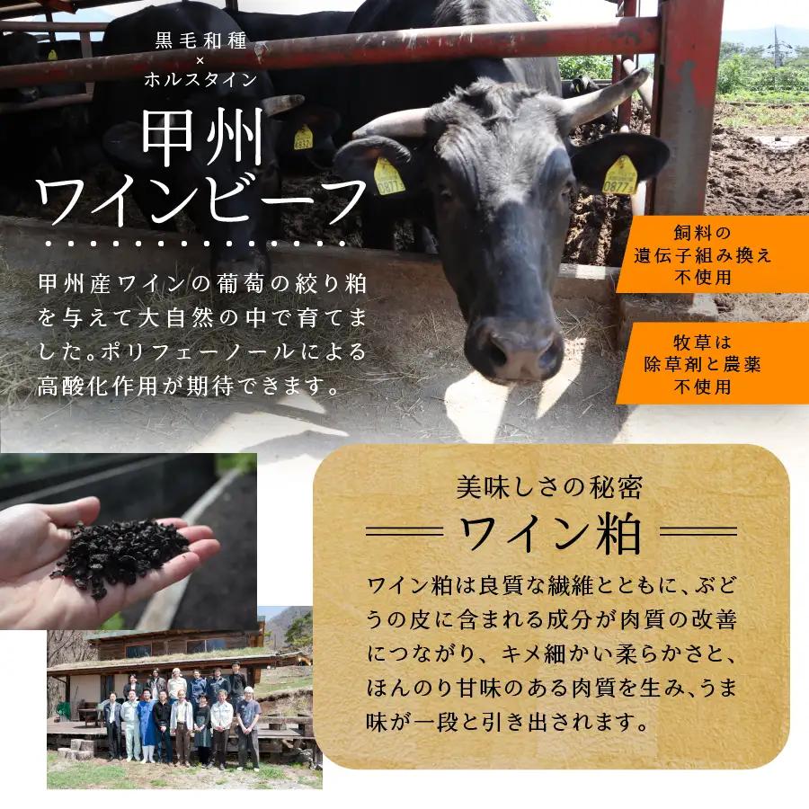 山梨県産 熟成肉 ハンバーグ 10個 セット 冷凍 ハンバーグ